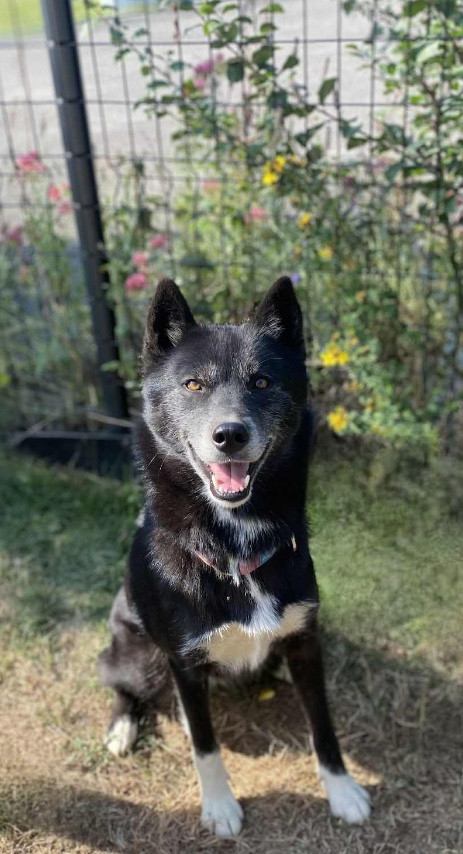 Together forever Of Winter's Whisper