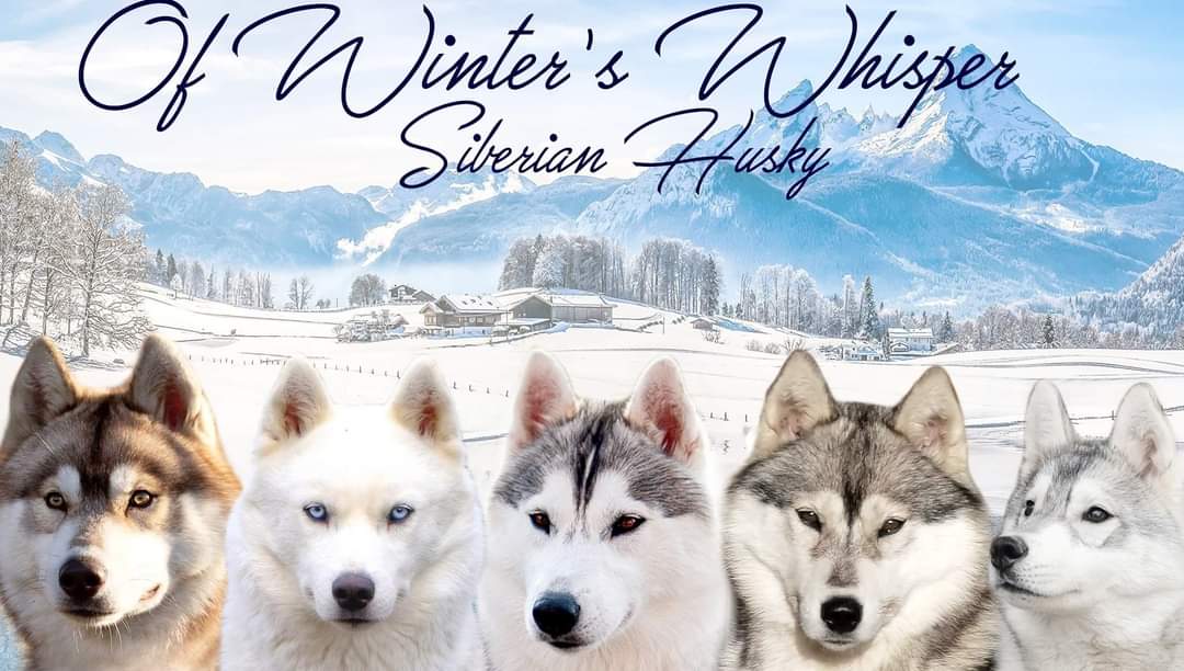 Of Winter's Whisper